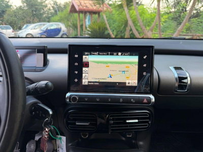 Citroen C4 Cactus BlueHDi 100 S&S Live (15)