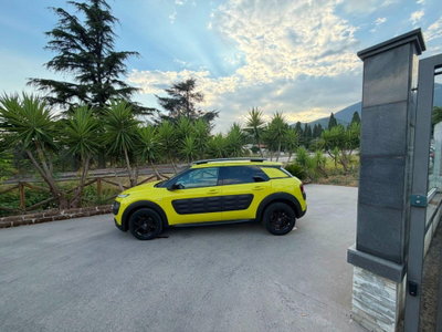 Citroen C4 Cactus BlueHDi 100 S&S Live (2)