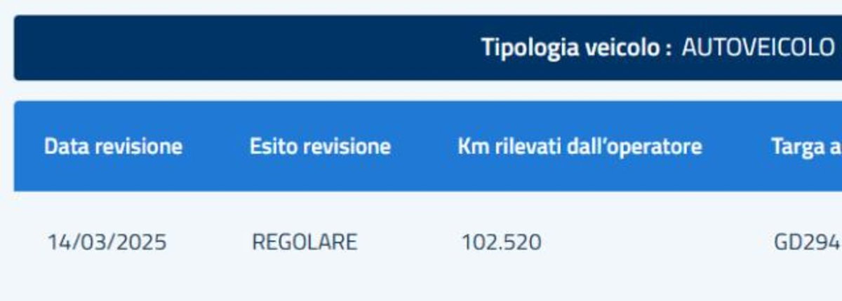 Fiat Panda 1.0 FireFly S&S Hybrid City Cross (7)