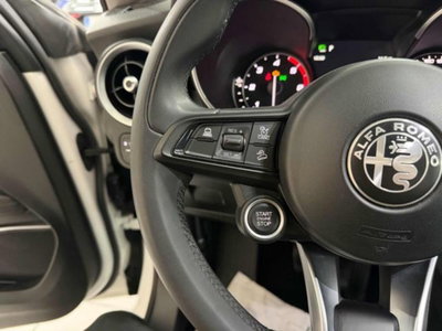 Alfa Romeo Stelvio Stelvio 2.2 Turbodiesel 190 CV AT8 Q4 Super Business (12)