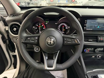 Alfa Romeo Stelvio Stelvio 2.2 Turbodiesel 190 CV AT8 Q4 Super Business (13)