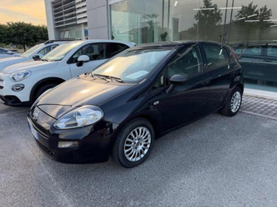 Fiat Punto 1.3 MJT II S&S 95 CV 5 porte Street (2)