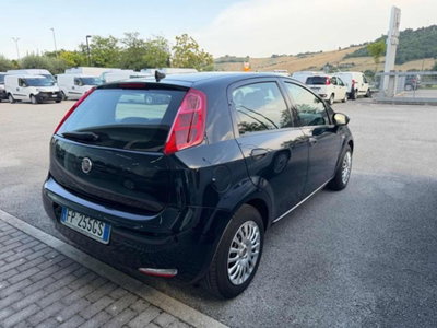 Fiat Punto 1.3 MJT II S&S 95 CV 5 porte Street (3)