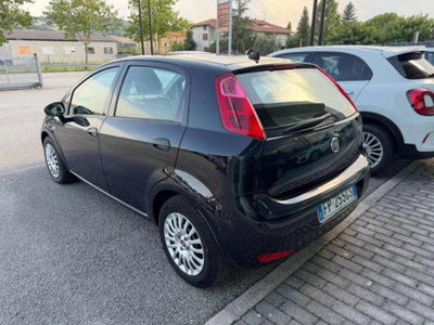 Fiat Punto 1.3 MJT II S&S 95 CV 5 porte Street (4)