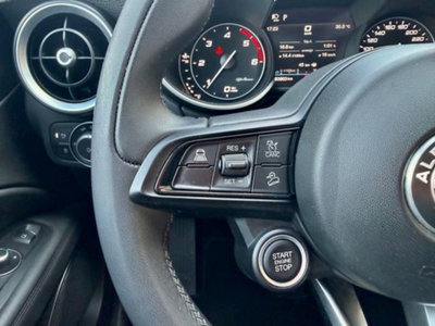 Alfa Romeo Stelvio Stelvio 2.2 Turbodiesel 160 CV AT8 RWD Sprint (16)