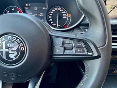 Alfa Romeo Stelvio Stelvio 2.2 Turbodiesel 160 CV AT8 RWD Sprint (17)