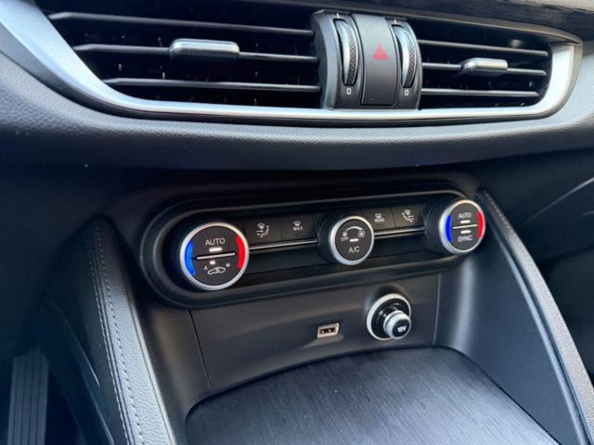 Alfa Romeo Stelvio Stelvio 2.2 Turbodiesel 160 CV AT8 RWD Sprint (19)