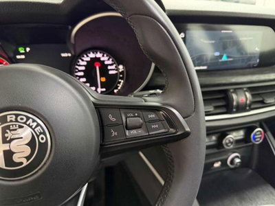 Alfa Romeo Stelvio Stelvio 2.2 Turbodiesel 190 CV AT8 Q4 Super Business (11)