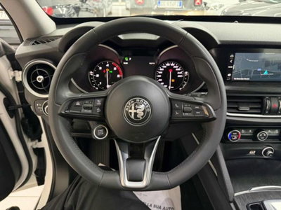 Alfa Romeo Stelvio Stelvio 2.2 Turbodiesel 190 CV AT8 Q4 Super Business (13)