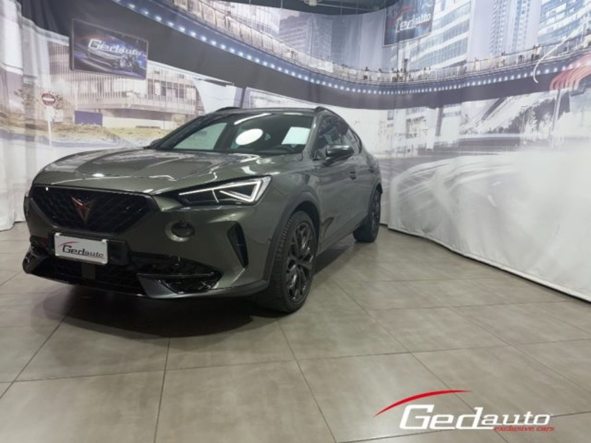 Cupra Formentor Formentor 2.0 TSI DSG VZ (3)