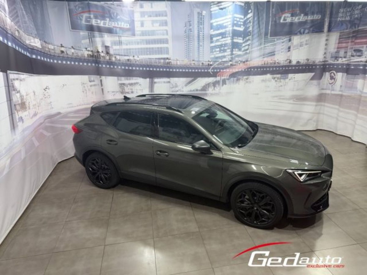 Cupra Formentor Formentor 2.0 TSI DSG VZ (4)