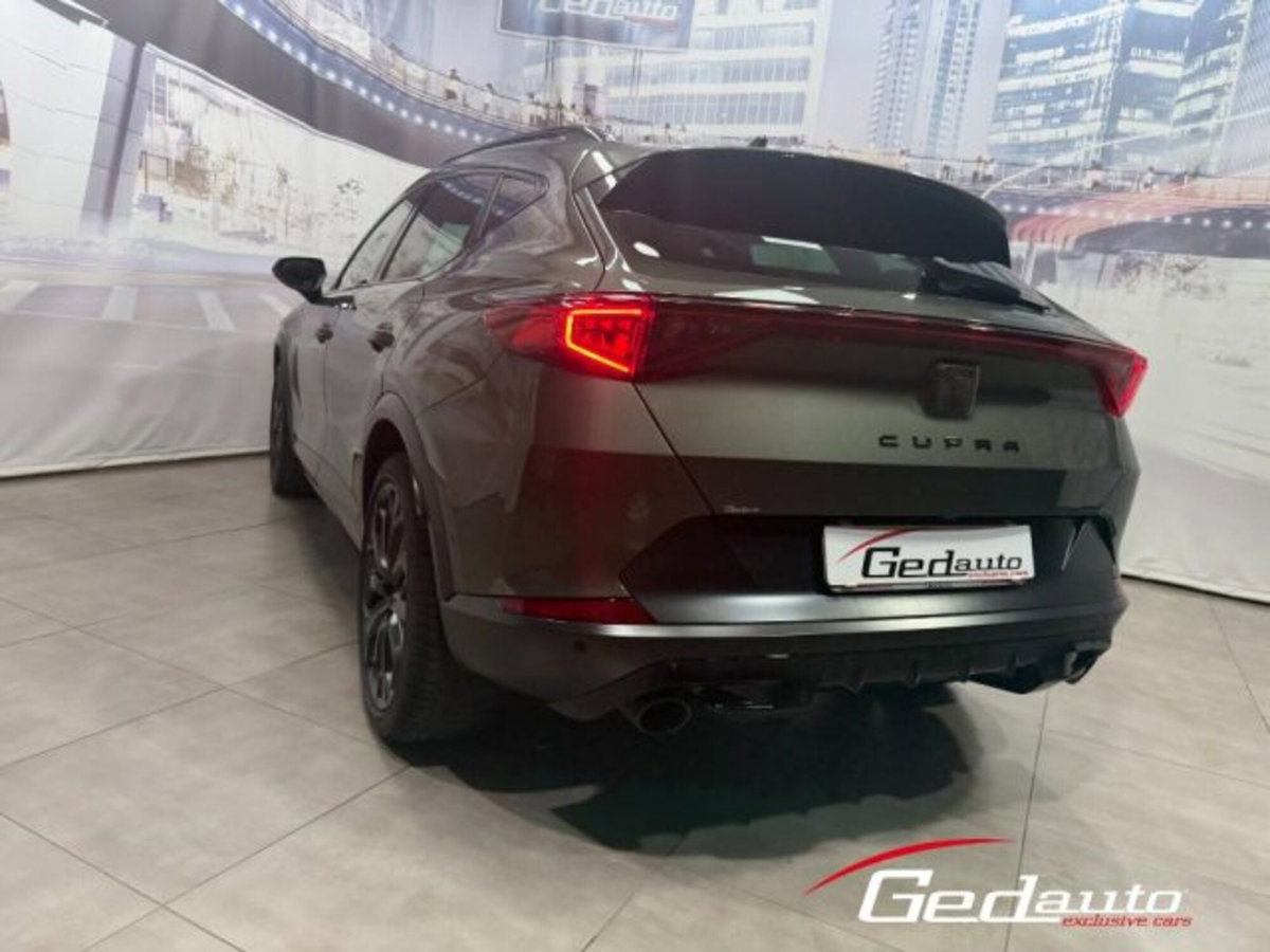 Cupra Formentor Formentor 2.0 TSI DSG VZ (9)