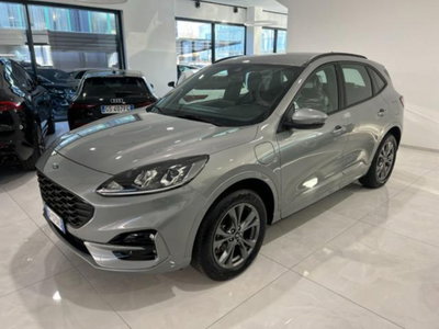 Ford Kuga 2.5 Plug In Hybrid 225 CV CVT 2WD ST-Line (2)