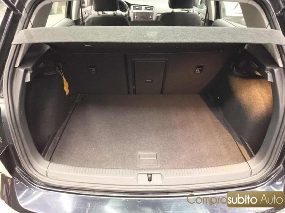 Volkswagen Golf 1.6 TDI 115 CV 5p. Trendline BlueMotion Technology (17)