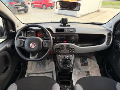 Fiat Panda 1.0 firefly hybrid s&s 70cv 5p.ti (18)