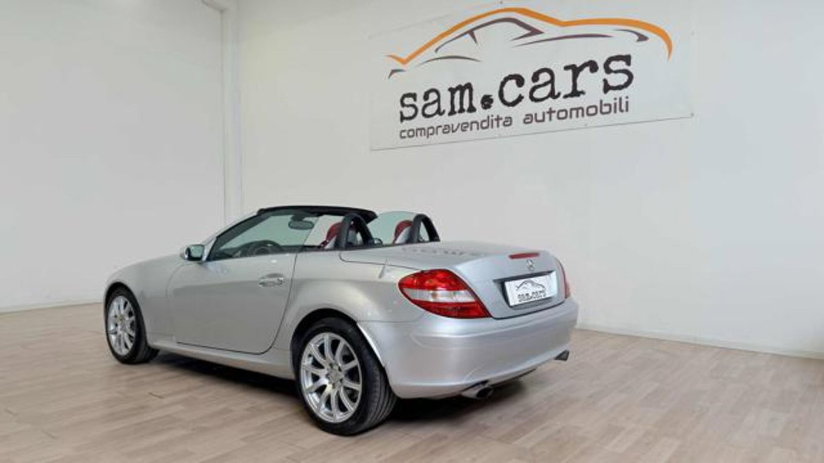 Mercedes-Benz SLK 350 cat (3)