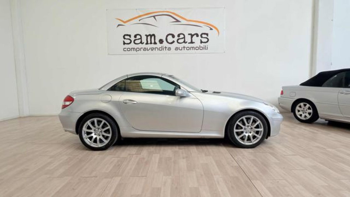 Mercedes-Benz SLK 350 cat (6)