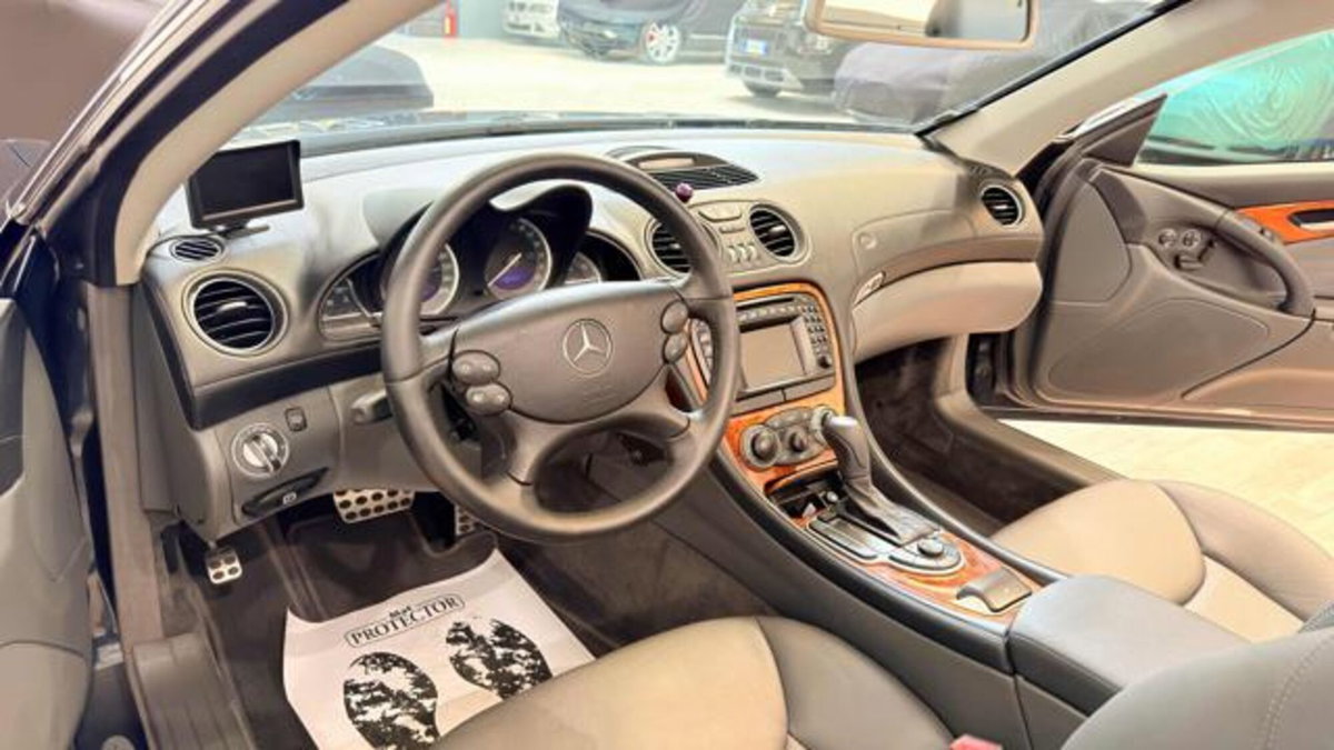 Mercedes-Benz SL 500 cat (10)