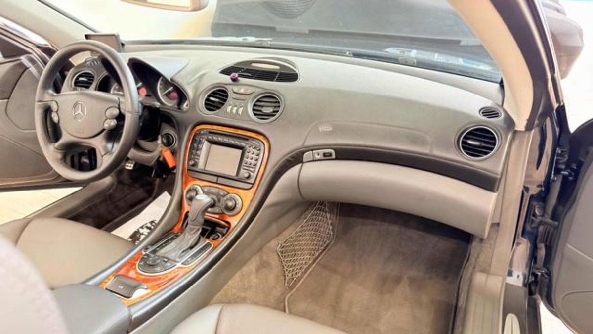 Mercedes-Benz SL 500 cat (11)