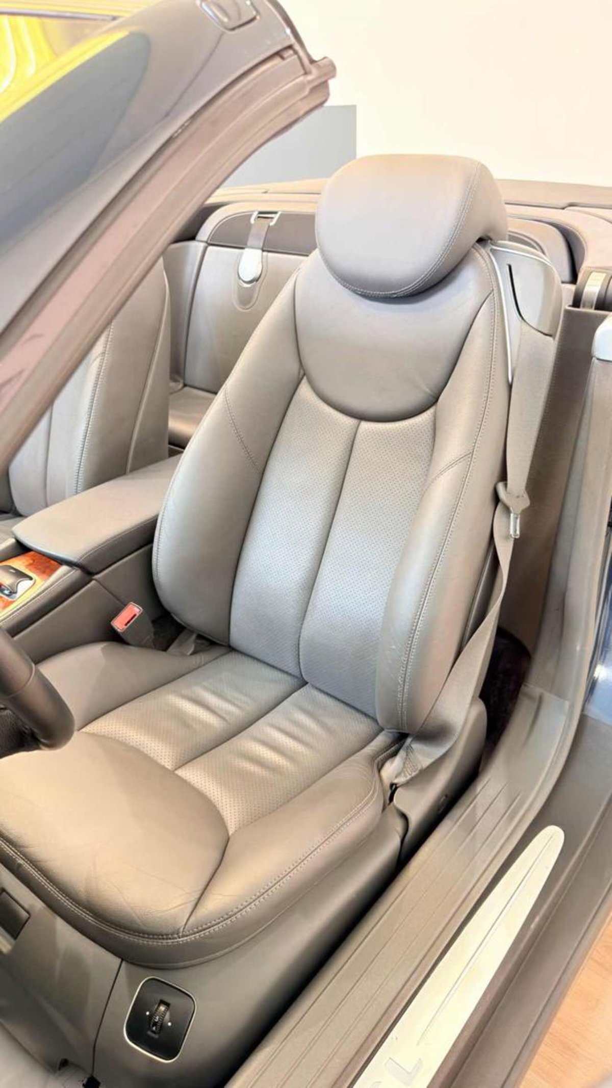 Mercedes-Benz SL 500 cat (13)