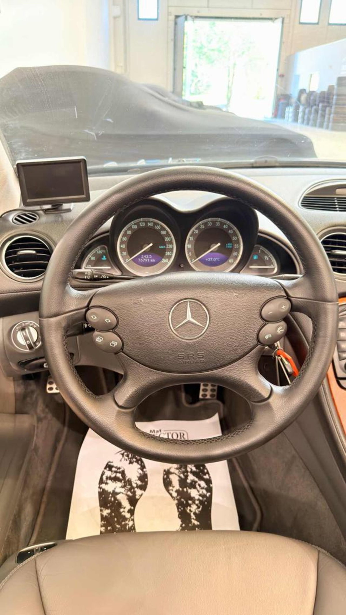 Mercedes-Benz SL 500 cat (14)