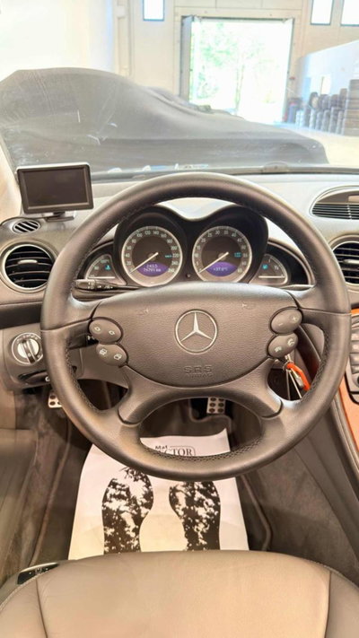 Mercedes-Benz SL 500 cat (14)