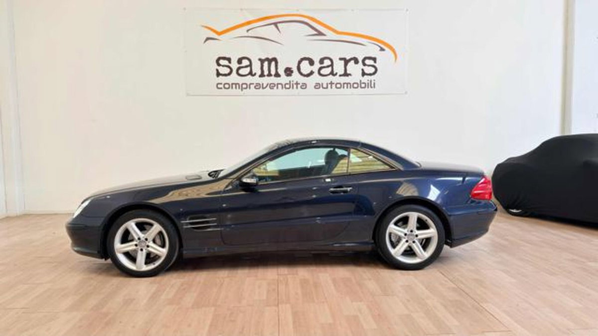 Mercedes-Benz SL 500 cat (2)