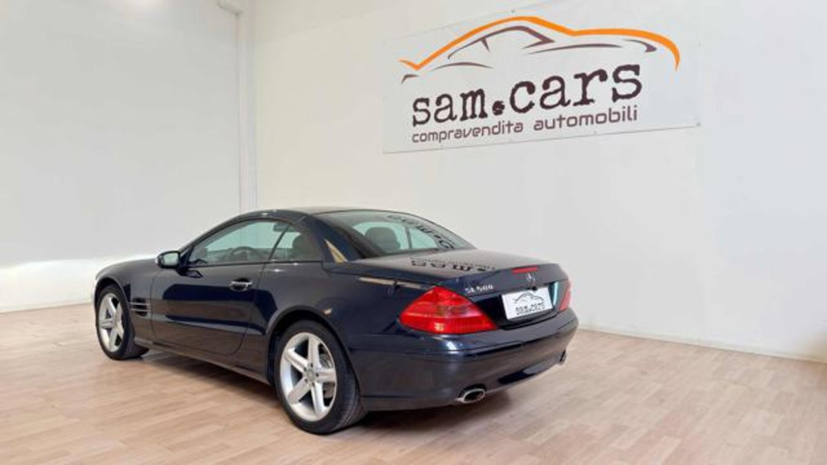 Mercedes-Benz SL 500 cat (3)