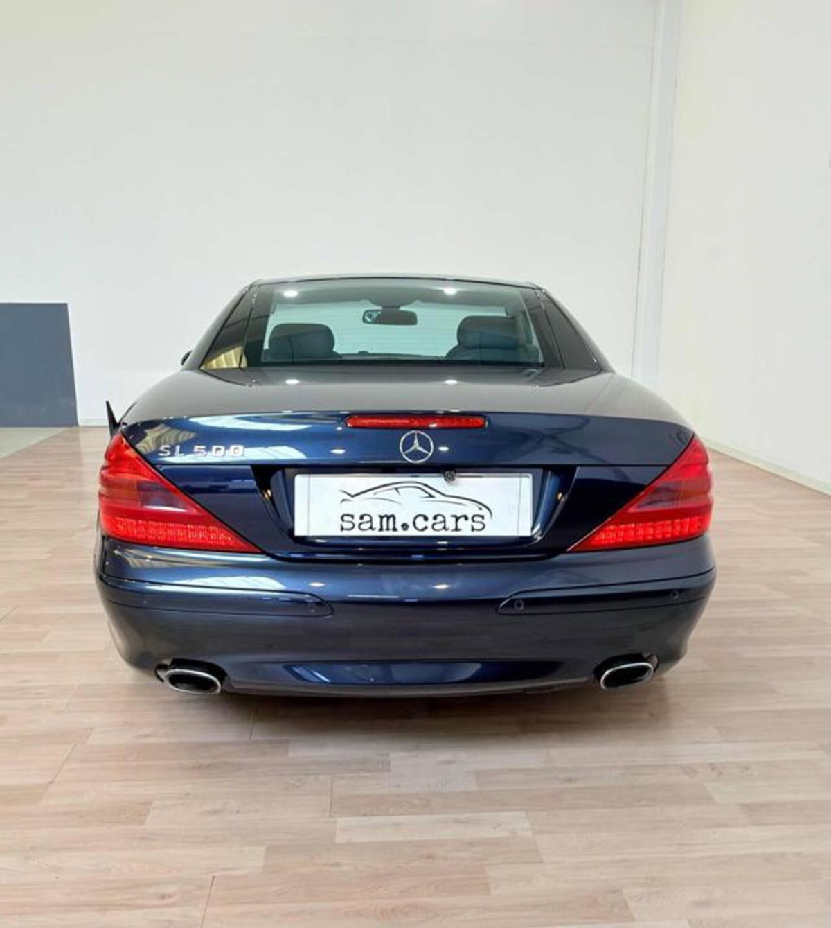 Mercedes-Benz SL 500 cat (4)