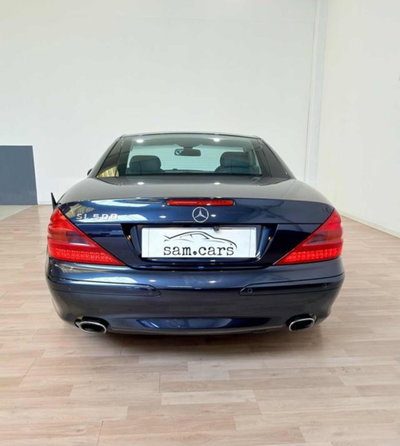 Mercedes-Benz SL 500 cat (4)