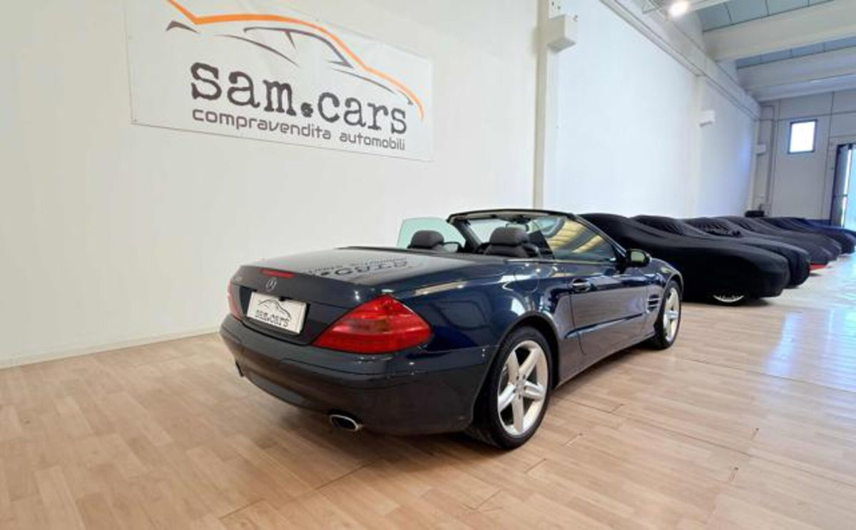 Mercedes-Benz SL 500 cat (5)