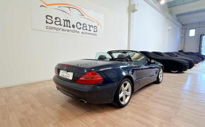 Mercedes-Benz SL 500 cat (5)