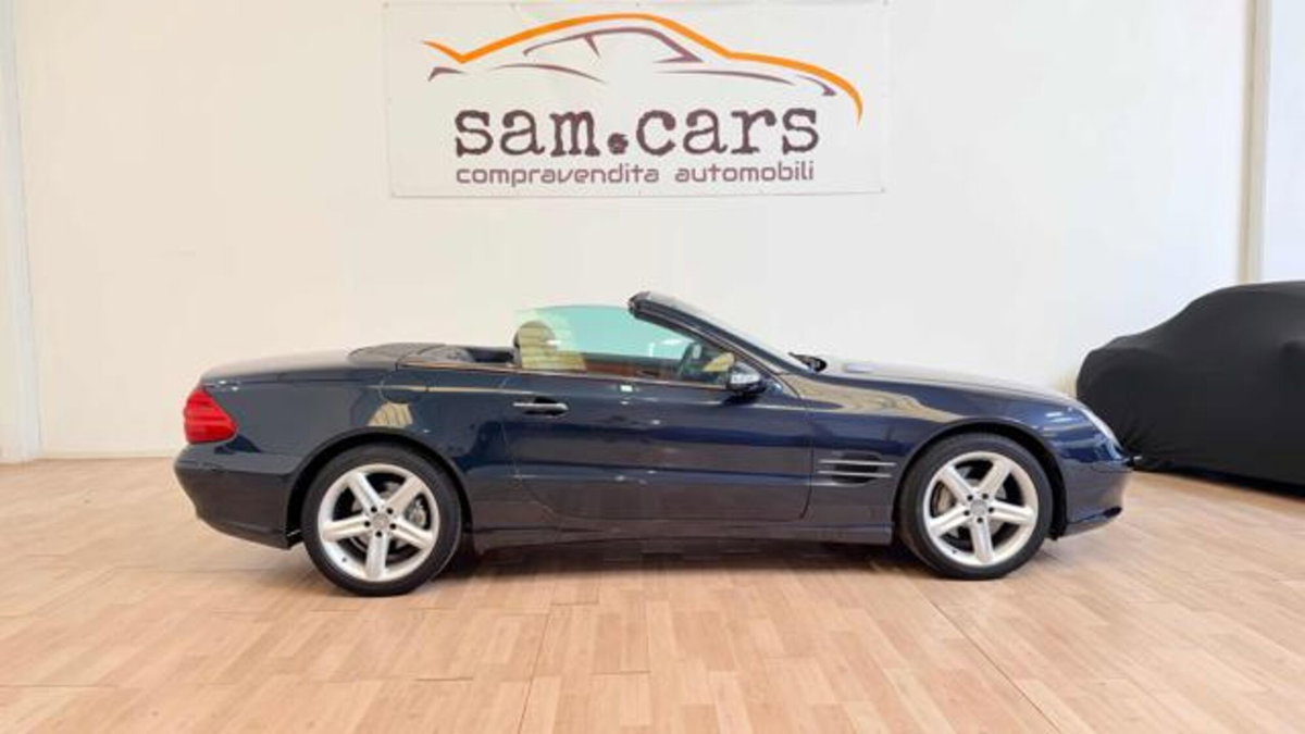 Mercedes-Benz SL 500 cat (6)