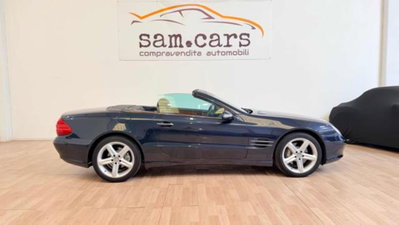 Mercedes-Benz SL 500 cat (6)