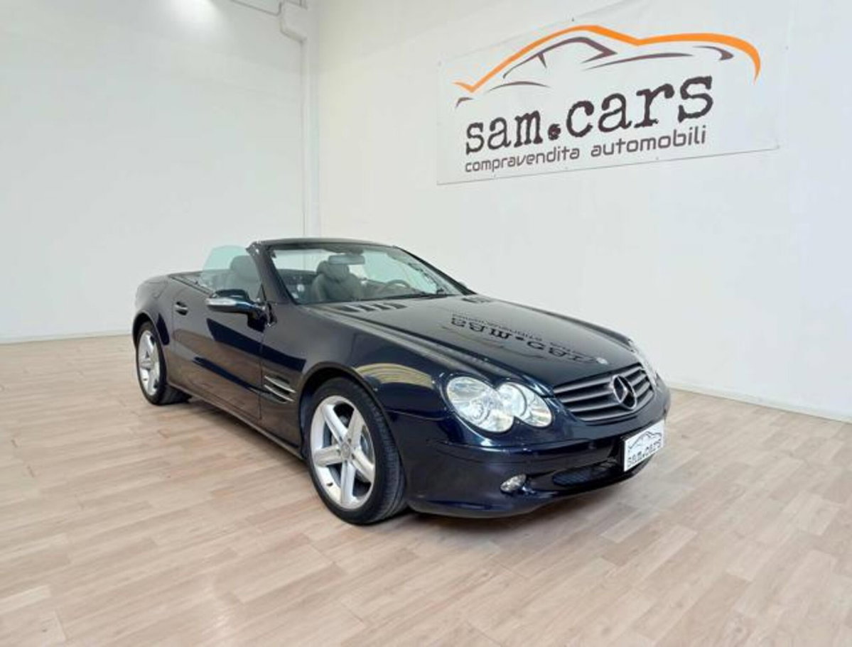 Mercedes-Benz SL 500 cat (7)