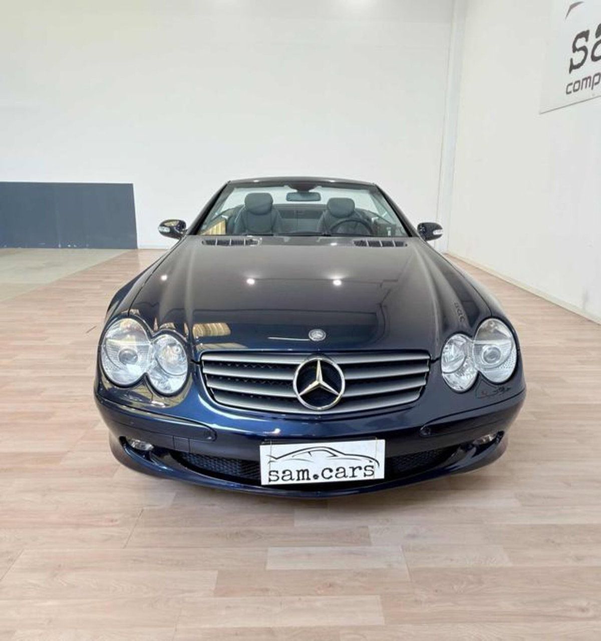 Mercedes-Benz SL 500 cat (8)