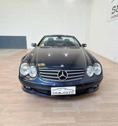 Mercedes-Benz SL 500 cat (8)
