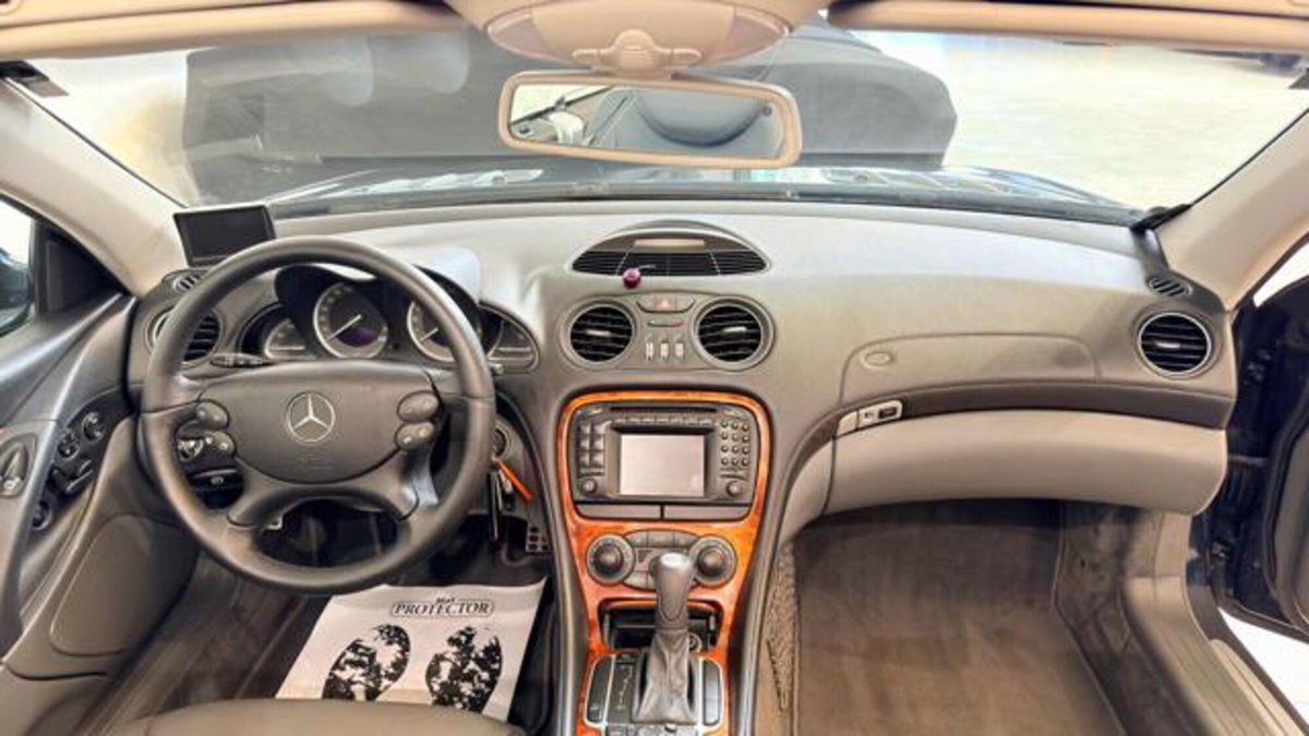 Mercedes-Benz SL 500 cat (9)