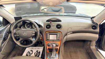 Mercedes-Benz SL 500 cat (9)