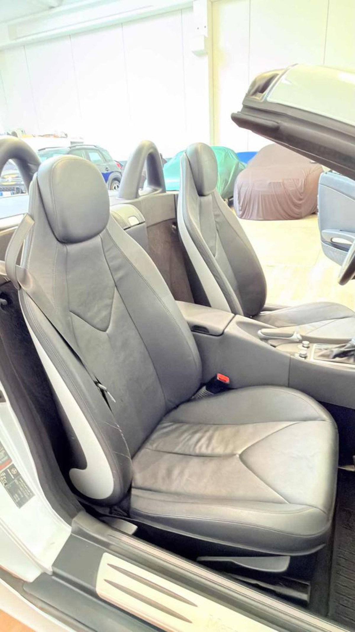 Mercedes-Benz SLK 200 Kompressor cat (12)