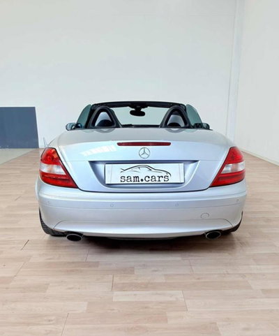Mercedes-Benz SLK 200 Kompressor cat (4)