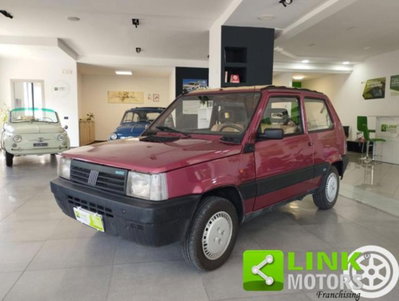 Fiat Panda 1000 i.e. cat Cafè usata