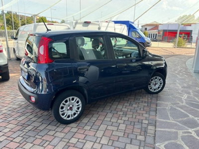 Fiat Panda 1.2 Easy (4)