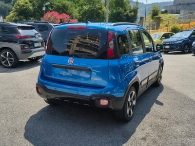 Fiat Panda Cross 1.0 firefly hybrid Cross s&s 70cv 5p.ti (18)
