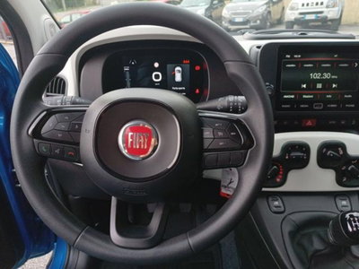 Fiat Panda Cross 1.0 firefly hybrid Cross s&s 70cv 5p.ti (7)