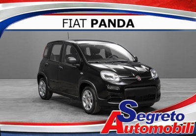 Fiat Pandina 1.0 firefly hybrid Pop s&s 65cv nuova