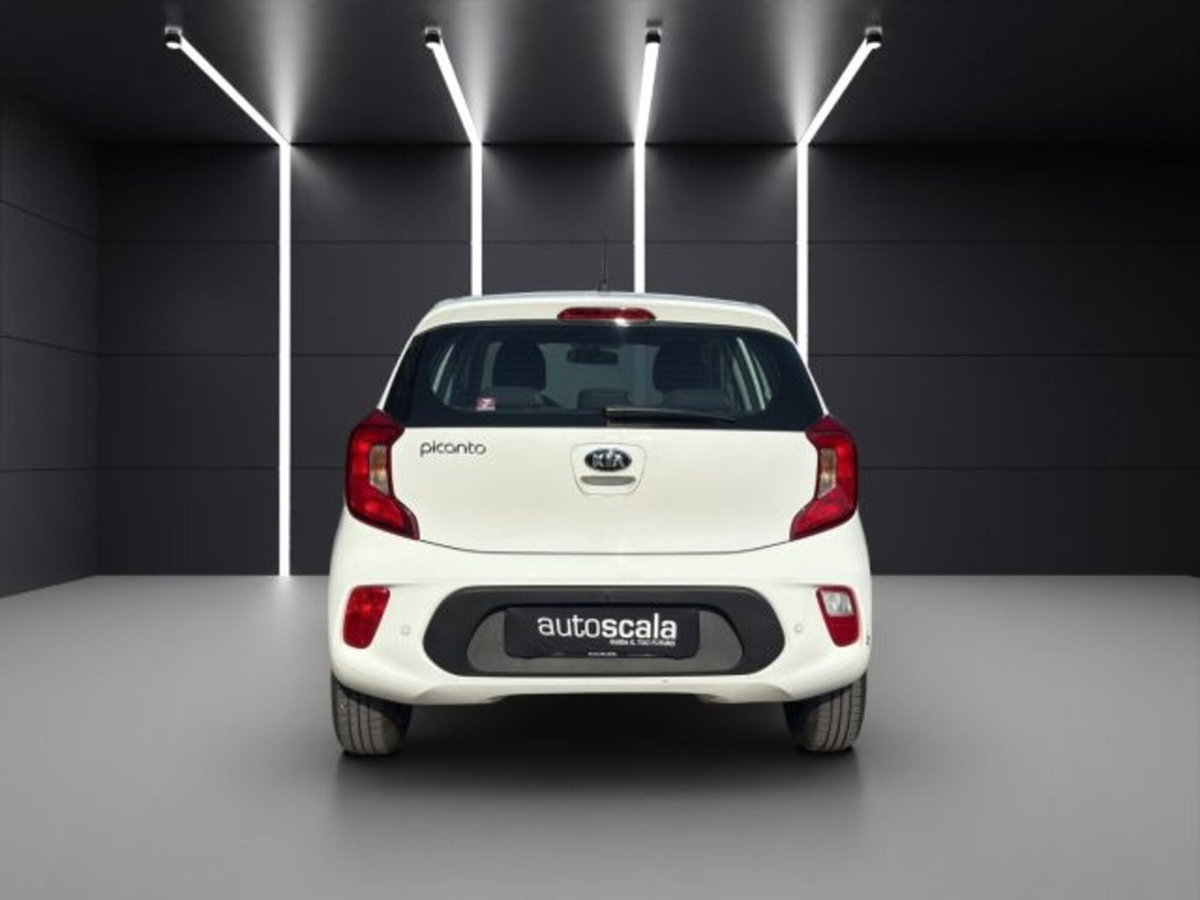 Kia Picanto 1.0 12V 5 porte Active (4)