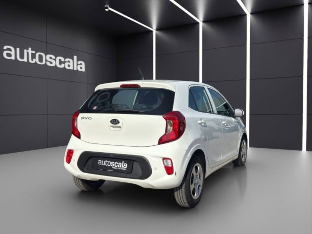 Kia Picanto 1.0 12V 5 porte Active (5)