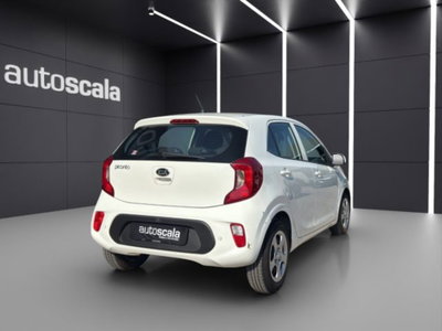 Kia Picanto 1.0 12V 5 porte Active (5)