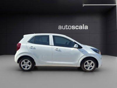 Kia Picanto 1.0 12V 5 porte Active (6)